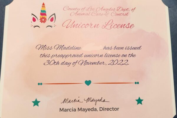 Unicorn Certificate (1)